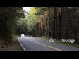 Forest Road, Oregon 1 1975